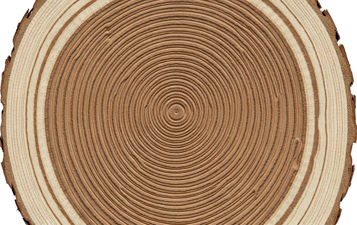 Representing structural health and longevity